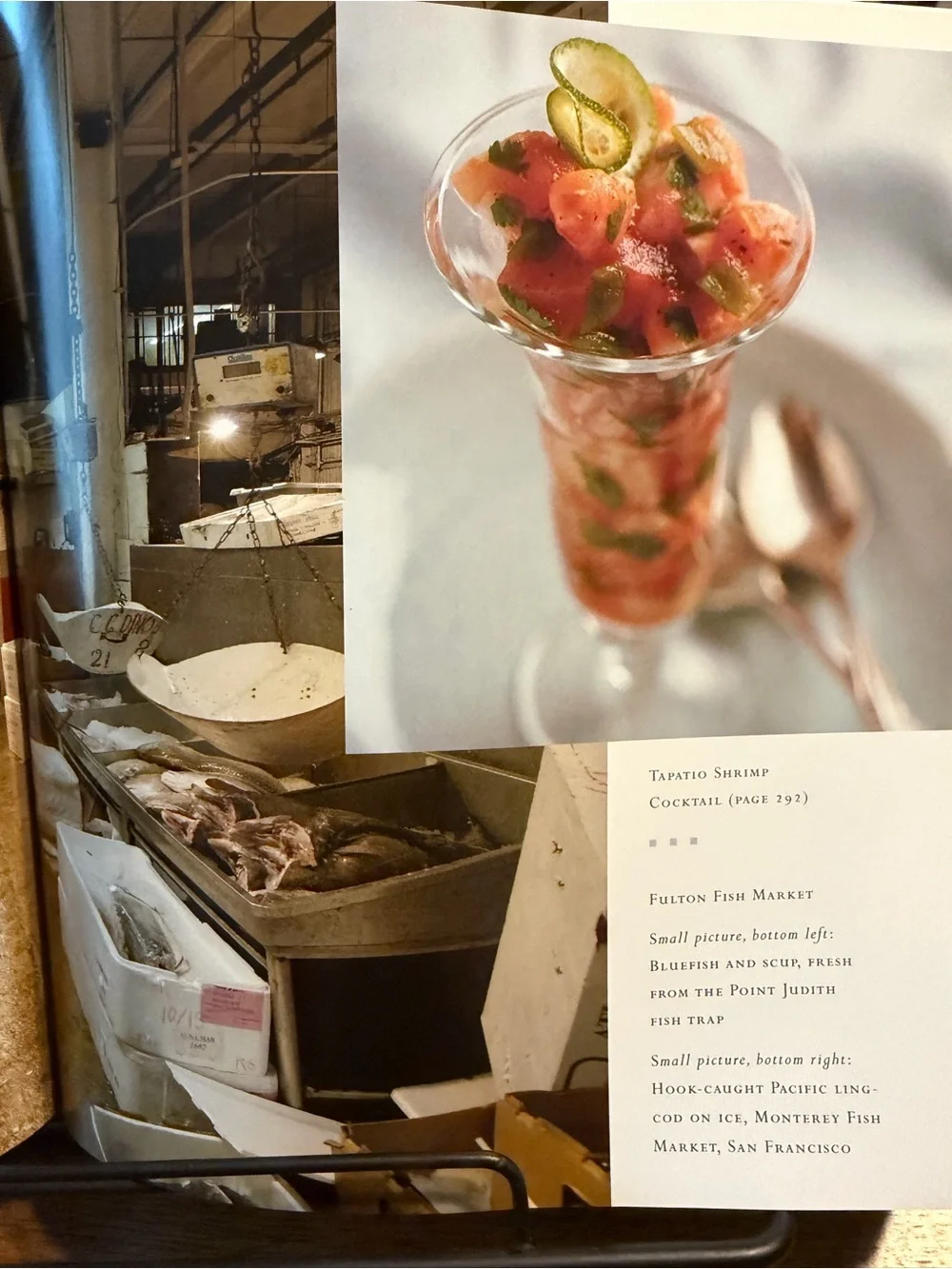 Fish Forever Cookbook - by Paul Johnson